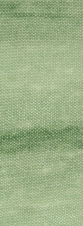 Silkhair Haze Dégradé - 1113